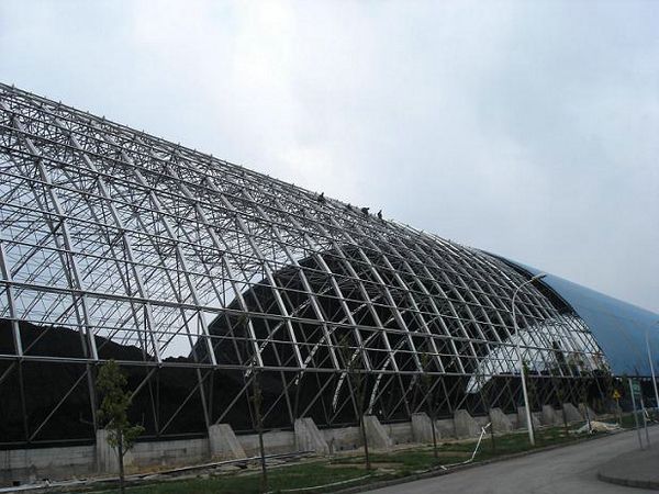 15912825781661618 15912825781661618